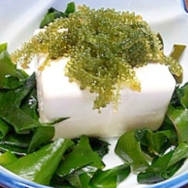 海ぶどうを乗せた しょうが味豆腐のやっこ レシピ 作り方 By Tnmsam 楽天レシピ 海ぶどうを乗せた しょうが味豆腐のやっこ レシピ 作り方 By Tnmsam 楽天レシピ